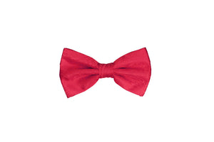 Men's Paisley Bowties