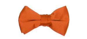 Men's Solid Bowties